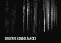Silence des arbres pour des pens&eacute;es sereines